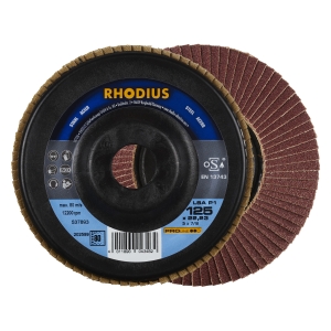 10x Rhodius LSA P1 Fächerschleifscheibe Korn:80 Ø125mm