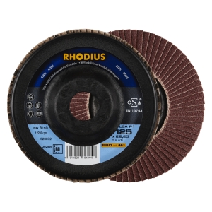 10x Rhodius LSA P1 Fächerschleifscheibe Korn:60 Ø125mm