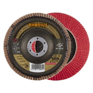 10x Rhodius LSK FK Fächerschleifscheibe Korn:80 Ø125mm