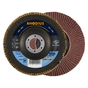 10x Rhodius LSA F1 Fächerschleifscheibe Korn:80 Ø125mm